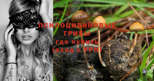 a pvp Кинешма