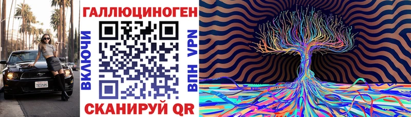 Купить где  Новохопёрск  Псилоцибиновые грибы Psilocybe 