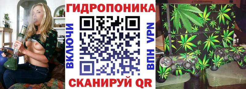 Марихуана план  Купить закладки  Новохопёрск 